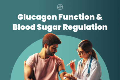 understanding-glucagon-function-in-blood-sugar-regulation